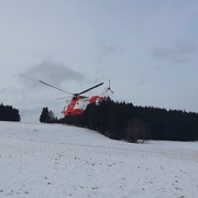 Muže zasáhl do hlavy padající kmen