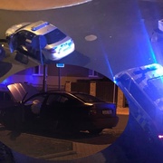 Policejní honička skončila v květináčích