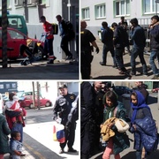 Autobus s imigranty dorazil do Plzně, jedna žena zkolabovala