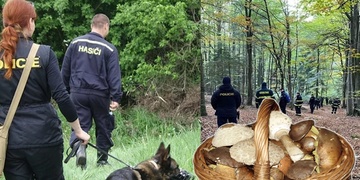 Za poslední tři dny se na západě Česka pátralo po osmi houbařích