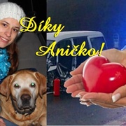 "Díky Aničko, celá naše rodina Vám to nikdy nezapomene!"
