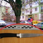 Bodl ho do hrudníku
