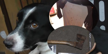 "Dostal třikrát sekyrou do hlavy, než povolil!"