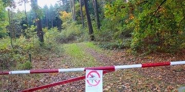 Zítra nevstupujte do lesa za Borskými poli!