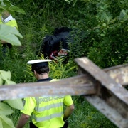 Smrt cyklisty se nedaří objasnit, policisté žádají svědky o pomoc