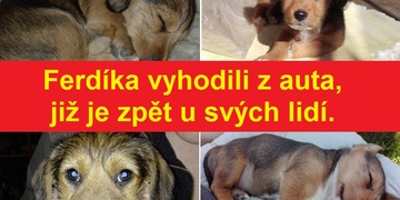 Ferdíka právě vyhodili z auta