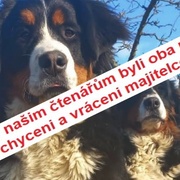 Lesí a Saly jsou díky vám již doma