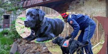 Díky Bolde, díky Pavle