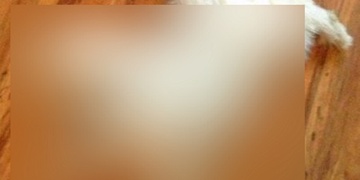 Neznámý pachatel otrávil psy