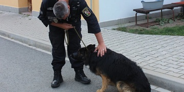 Strážníky napadl pes i jeho majitel