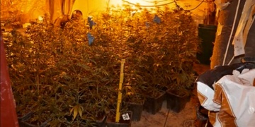 Další pěstírnu zajistili policisté