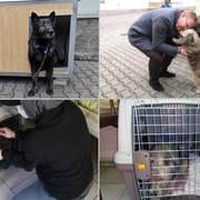 Lidé bez domova se již nemusejí vzdávat svých čtyřnohých parťáků