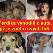 Ferdíka právě vyhodili z auta