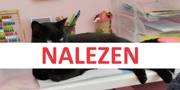 Bertík je již doma, děkujeme vám za sdílení pátrací relace