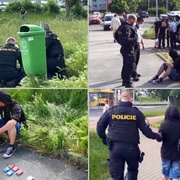 Rodinné zatýkání u Severky