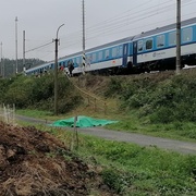 Život dvou koní skončil pod koly vlaku