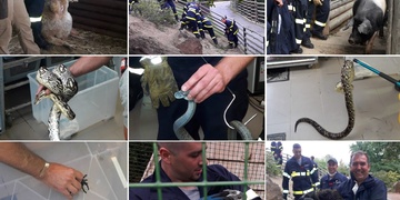 Hasiči "lovili" zvířata v ZOO