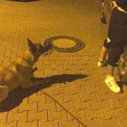 "Mě nemůžete zatknout, já sem z Ukrajiny!"