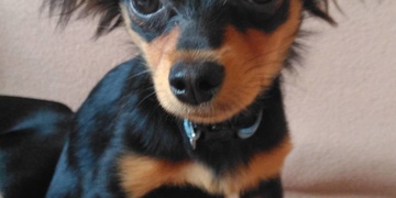 Malý Filípek je doma