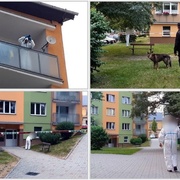 Vyšetřovatel jednání muže překvalifikoval na pokus o vraždu