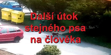 Pes znovu zaútočil, dnes napadl a zranil ženu