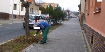 S povolením si muž hlavu moc nelámal a poškodil strom