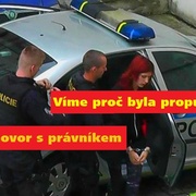Já Pavlíka nezabila, vyměnili ho v nemocnici!