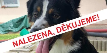 Pomozte prosím najít Bibinku - aktualizováno, nalezena