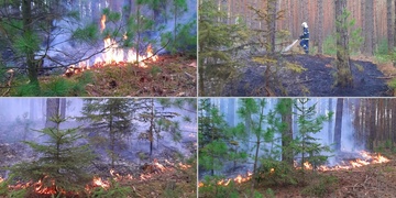 Lesní požáry u Plzně