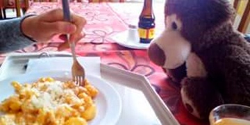 Sedmnáctiletý chlapec byl nalezen mrtev