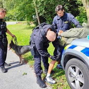 Policistům a fence Schegy neutekl