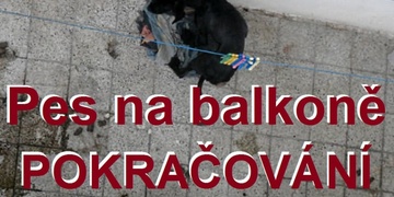 Týrají psa na balkoně 2. - Zjistili jsme pro vás:
