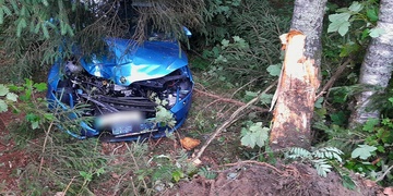 Po vyjetí ze silnice narazil osobní vůz do stromu