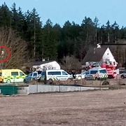 Nahý muž vylezl na strom a vyhrožoval sebevraždou