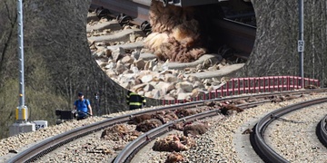 Žena vypadla z vlaku a zemřela, další vlak zmasakroval celé stádo ovcí