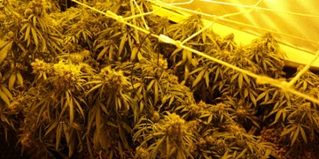 Na "návštěvě" v pěstírně