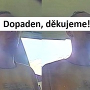 Poznali jste "Pandu" za pouhých šest minut