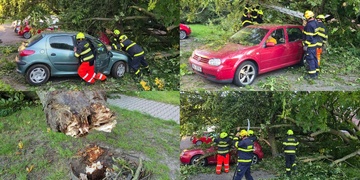 Pád vzrostlého stromu uvěznil zaparkovaná vozidla