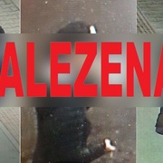 Zlodějka z Wolkerovy ulice již byla ztotožněna