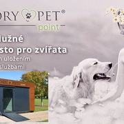 Představujeme Memory Pet Point, který vzniká v plzeňském útulku