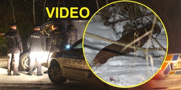 Granát v Plzni způsobil noční policejní manévry