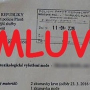 Oba řidiči pizzerií byli očištěni a patří jim omluva