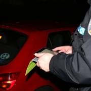 Strážníci městské policie nyní okamžitě a na místě zjistí, zda bylo vozidlo kradené