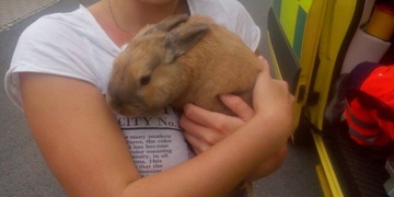 Požár digestoře ohrožoval ženu s několika dětmi