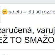 Blbky a fejsbůky