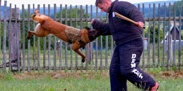 Pozvánka: V sobotu proběhne v Křimicích závod "O plzeňské štěně"
