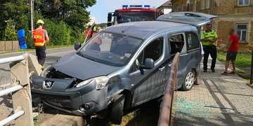 Údajně kvůli psovi strhla žena řízení
