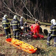 Padající strom usmrtil člověka