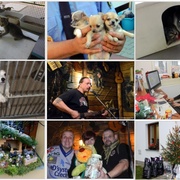 Vánoce, vyhozené živé dárky a útulek