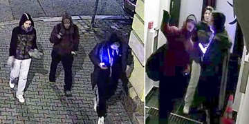 Kuriózní noční krádež, mladí pachatelé odnesli daňka